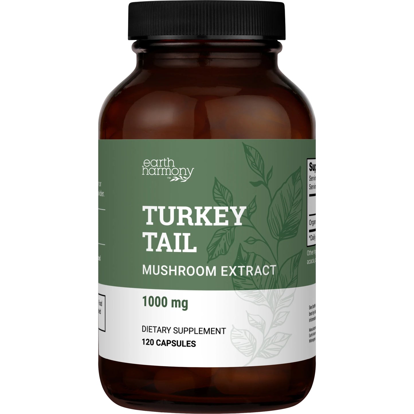 Organic Turkey Tail - Mushroom Extract Supporting Digestive Health