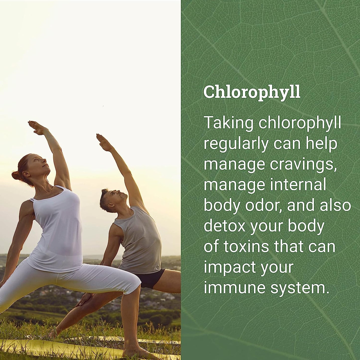 Liquid Chlorophyll - Liver & Immune Support Drops From Mulberry Leaves