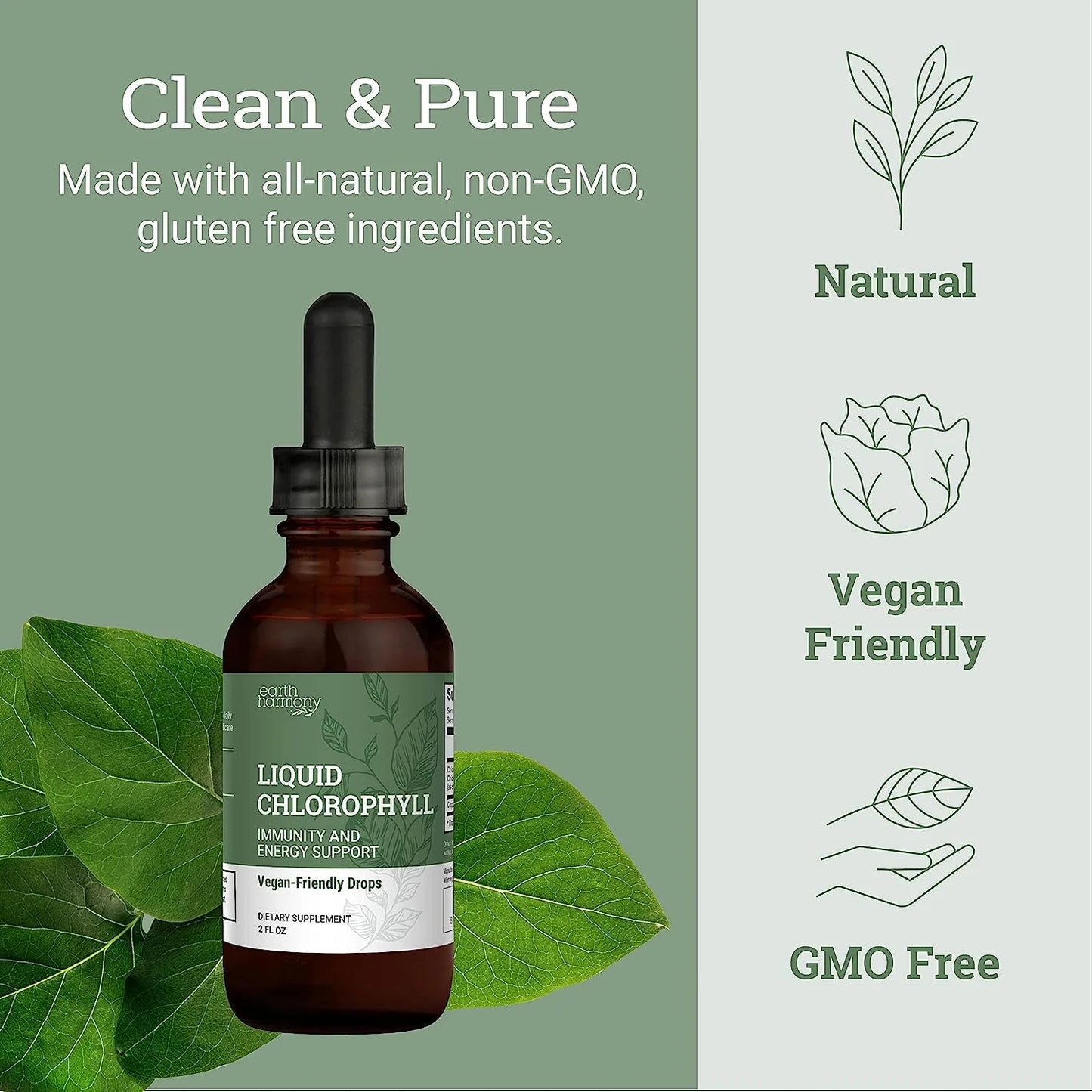 Liquid Chlorophyll - Liver & Immune Support Drops From Mulberry Leaves