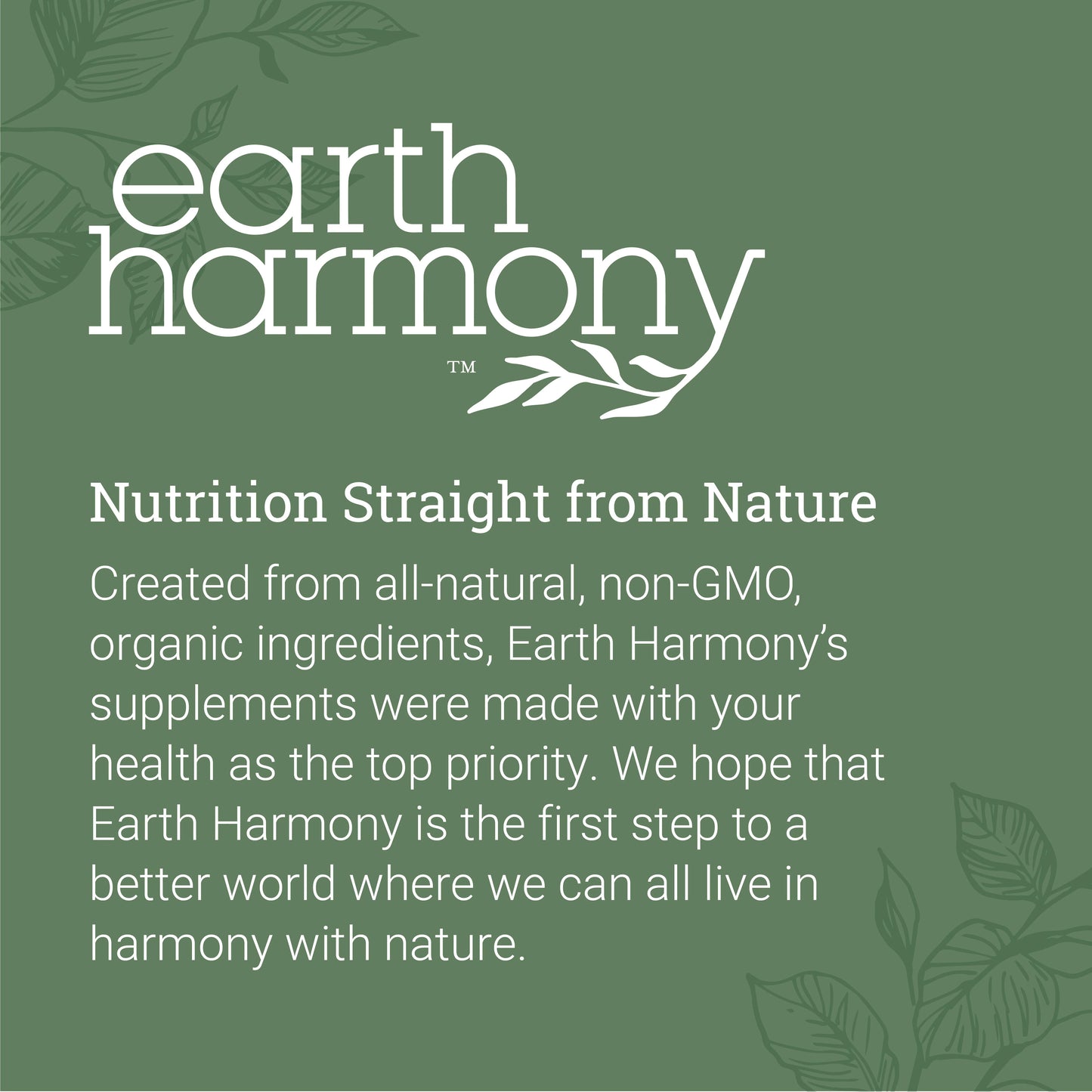 Liquid Chlorophyll - Liver & Immune Support Drops From Mulberry Leaves