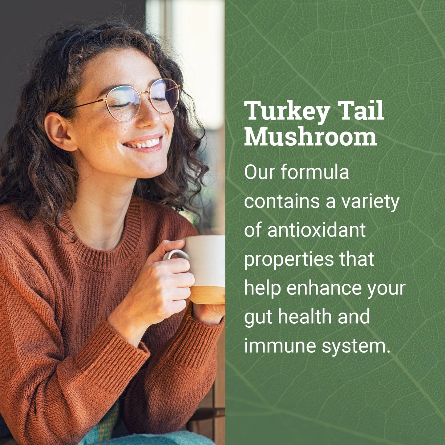 Organic Turkey Tail - Mushroom Extract Supporting Digestive Health