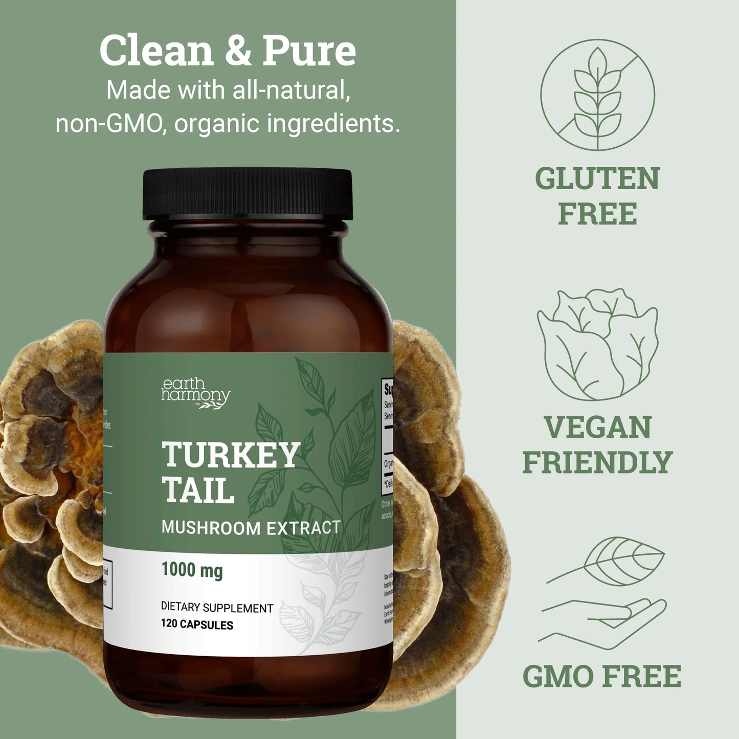 Organic Turkey Tail - Mushroom Extract Supporting Digestive Health