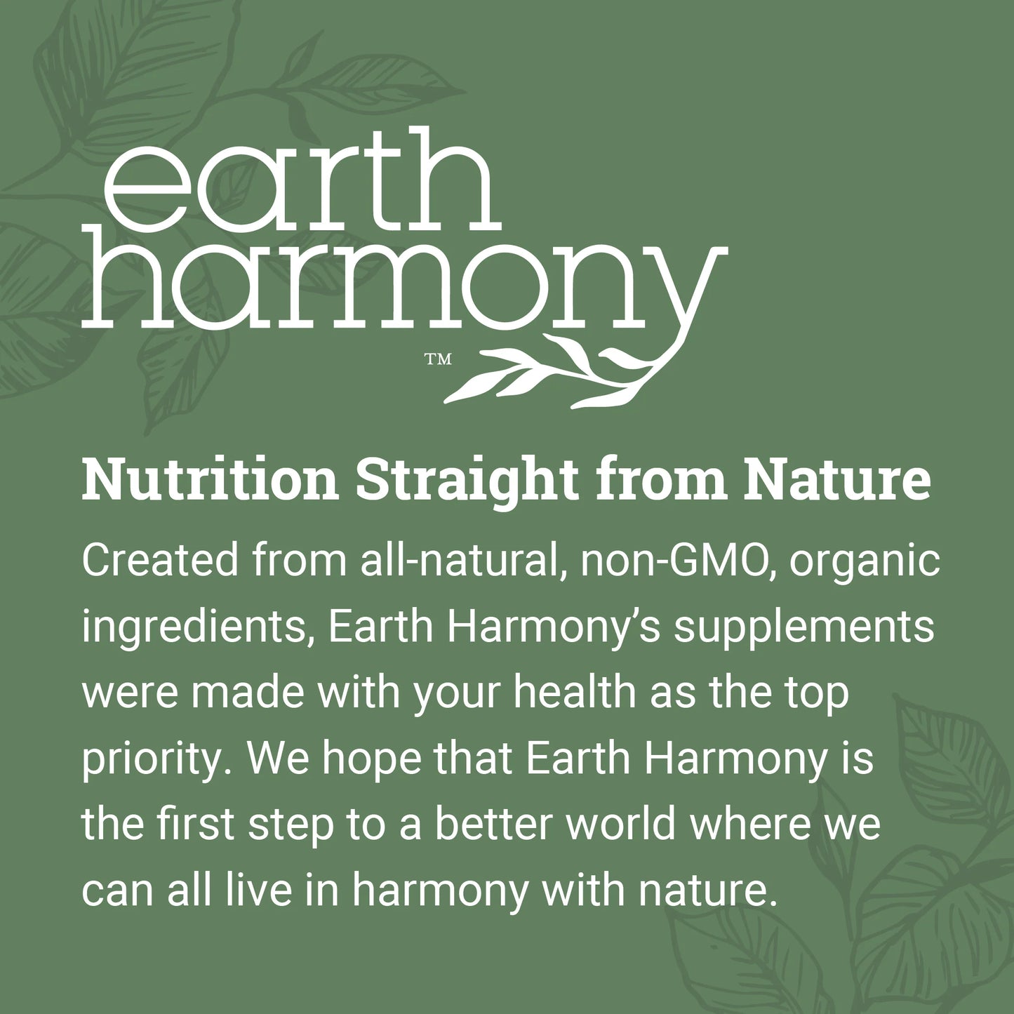 Organic Turkey Tail - Mushroom Extract Supporting Digestive Health