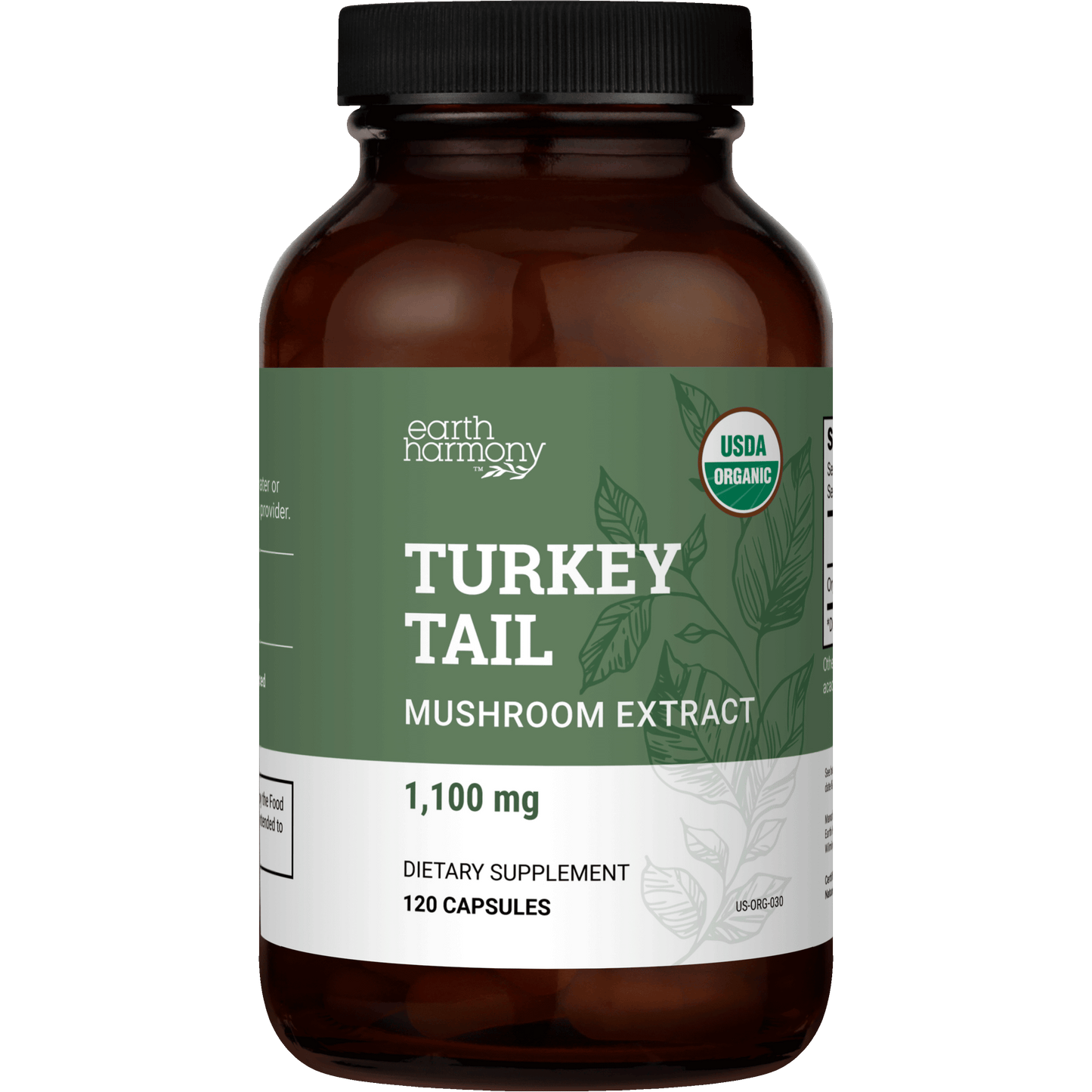 Organic Turkey Tail - Mushroom Extract Supporting Digestive Health