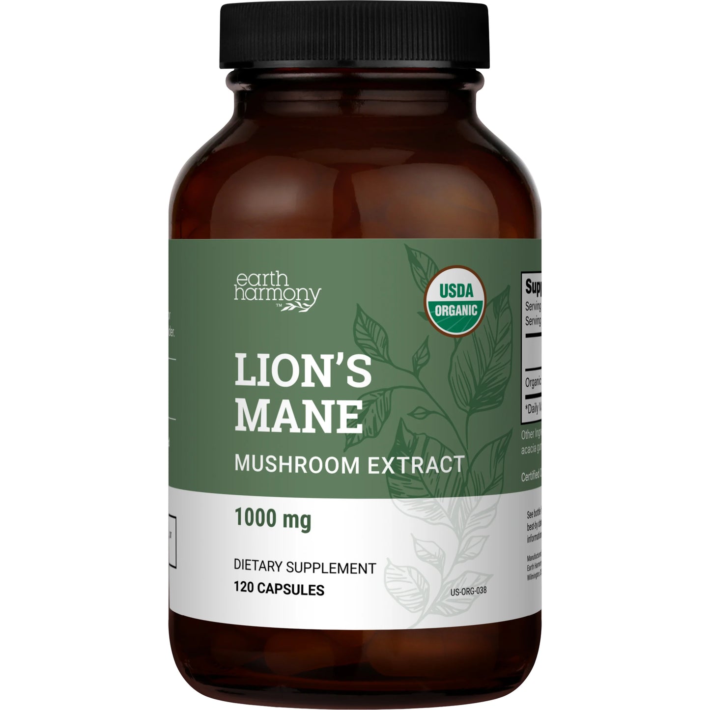 Lion's Mane - Mushroom Extract For Cognitive Support