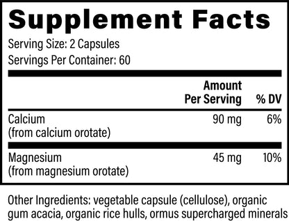 Calcium & Magnesium Supplement